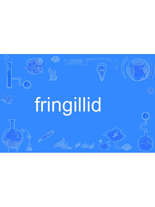 fringillid fringillid