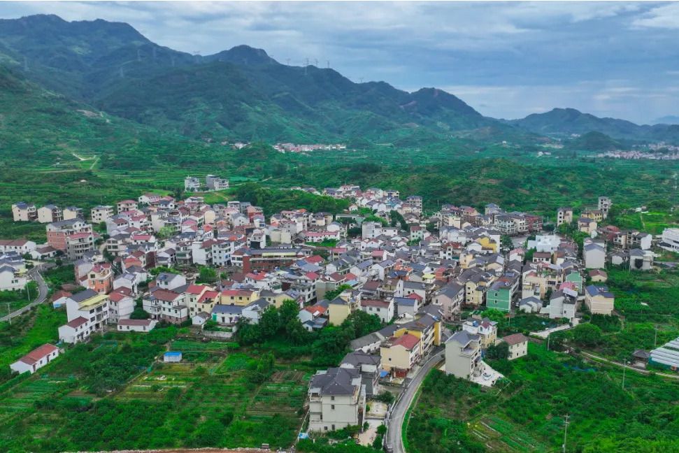 東葉村 東葉村