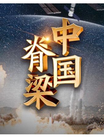 中國脊樑(中國王海濤製片的人物紀錄片)