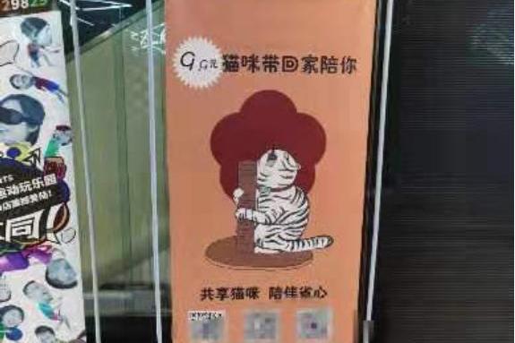 共享貓咪 共享貓咪