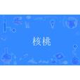 核桃(詞語解釋) 核桃(詞語解釋)