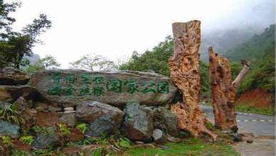 滇金絲猴國家公園