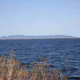 尼皮貢湖