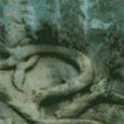 江口石龍 江口石龍