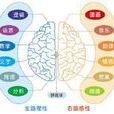 裂腦研究 裂腦研究