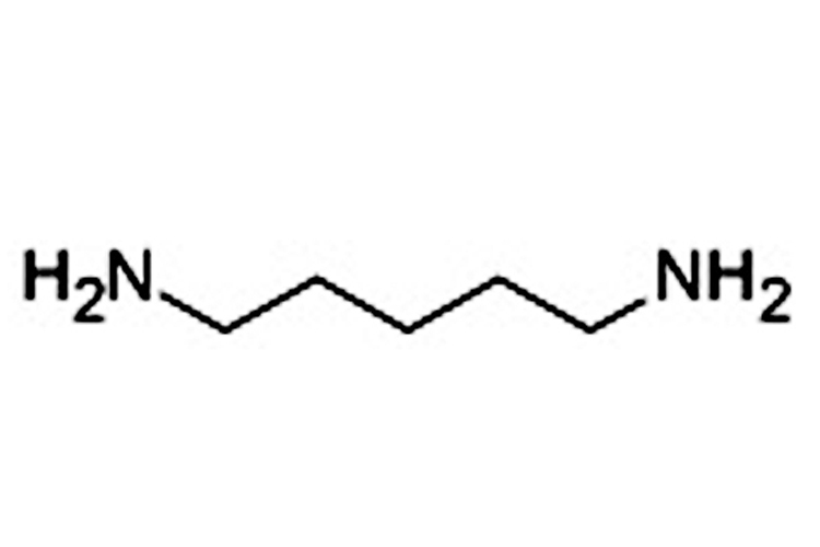 1,5-戊二胺