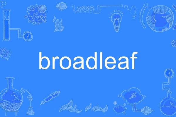 broadleaf broadleaf