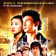 少年王(2003年吳奇隆主演電視劇)