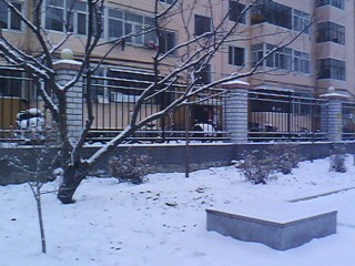 2015年 冬 九中校園環境