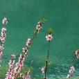 末世桃花源 末世桃花源