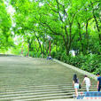 望仙坡 望仙坡