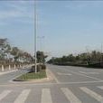新湖村(江蘇省常熟市沙家浜鎮新湖村) 新湖村(江蘇省常熟市沙家浜鎮新湖村)