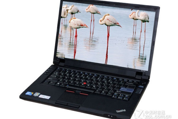 ThinkPad T510i(4314A21) ThinkPad T510i(4314A21)