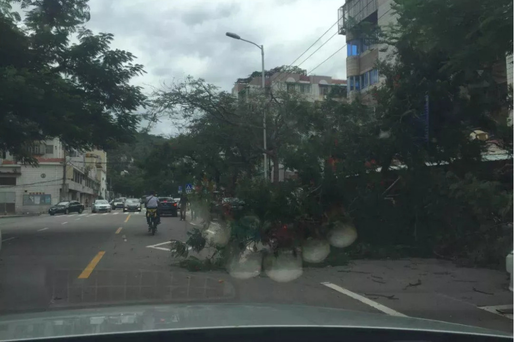 西林東路 西林東路