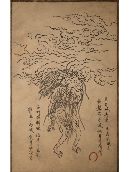 小人參精