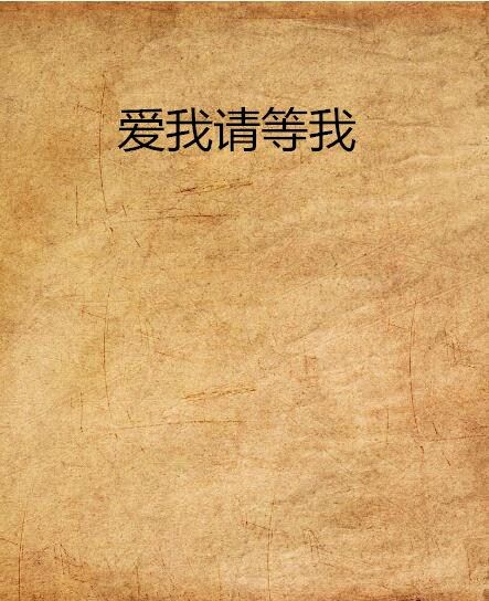 愛我請等我 愛我請等我
