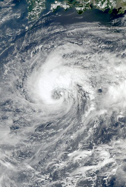 強熱帶風暴杜鵑 衛星雲圖