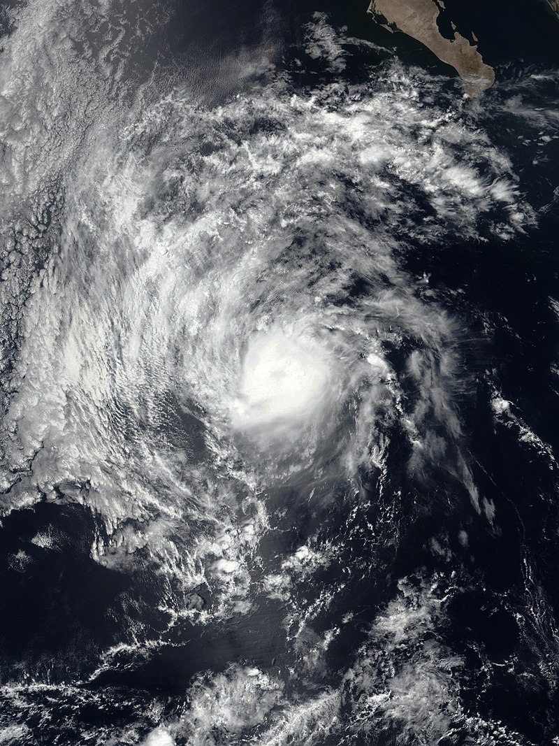 颶風阿爾文 衛星雲圖