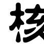 核酸雜交 核酸雜交
