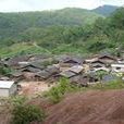 大平掌村(雲南省普洱市景谷縣正興鎮大平掌村) 大平掌村(雲南省普洱市景谷縣正興鎮大平掌村)