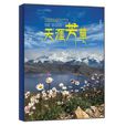 天涯芳草(劉華傑所著道德圖書) 天涯芳草(劉華傑所著道德圖書)