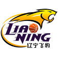 遼寧衡潤飛豹籃球俱樂部(遼寧盼盼隊)