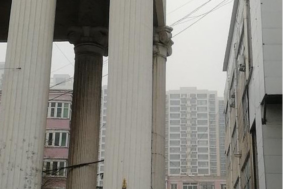 龍洲御景園 龍洲御景園