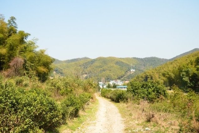 石刺嶺古道 石刺嶺古道