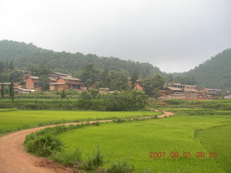 秧草坡村 秧草坡村