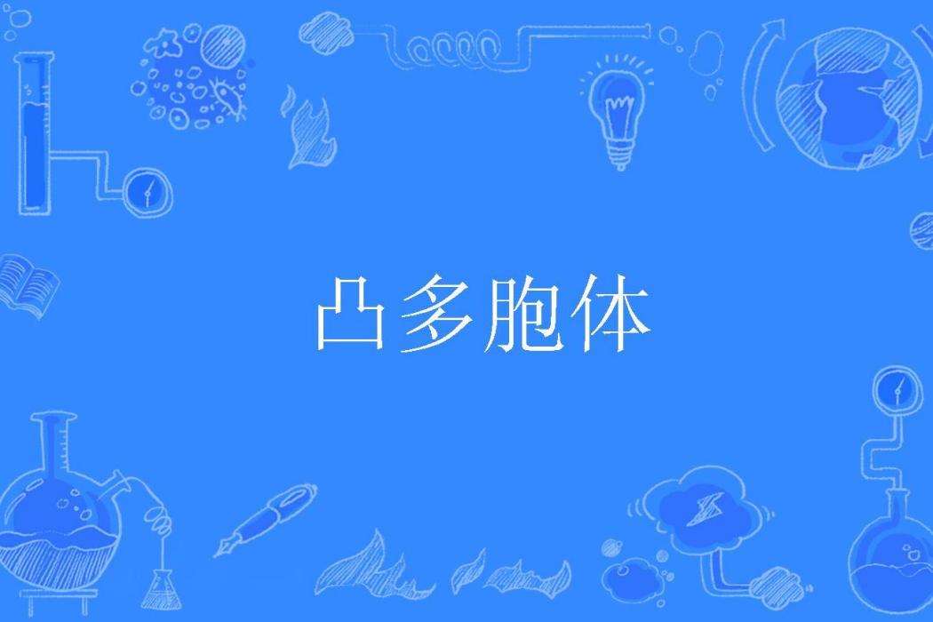 凸多胞體