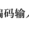 編碼輸入 編碼輸入