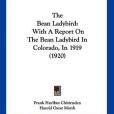 The Bean Ladybird The Bean Ladybird