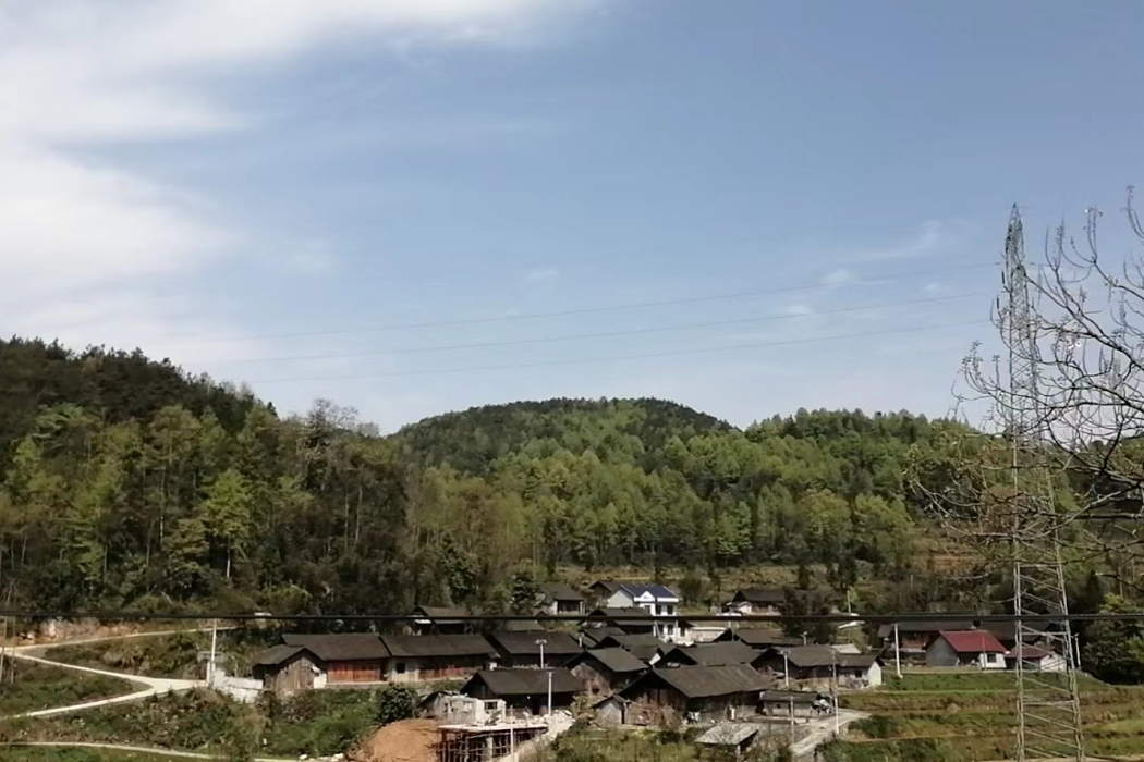 沙碧村
