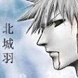 北城羽 北城羽