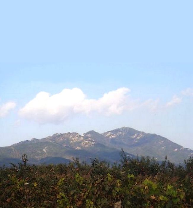 垛山