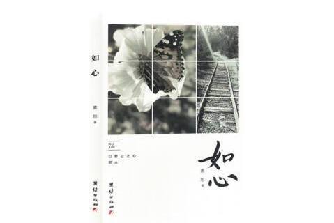 如心(2024年團結出版社出版的圖書)