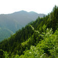興隆山(甘肅蘭州市榆中縣山峰)