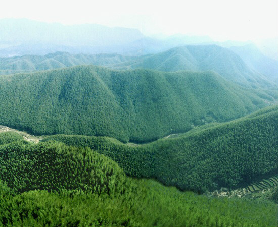 泥橋頭。遠景