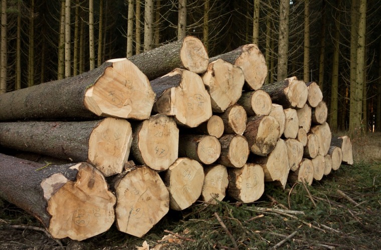 木材蓄積量