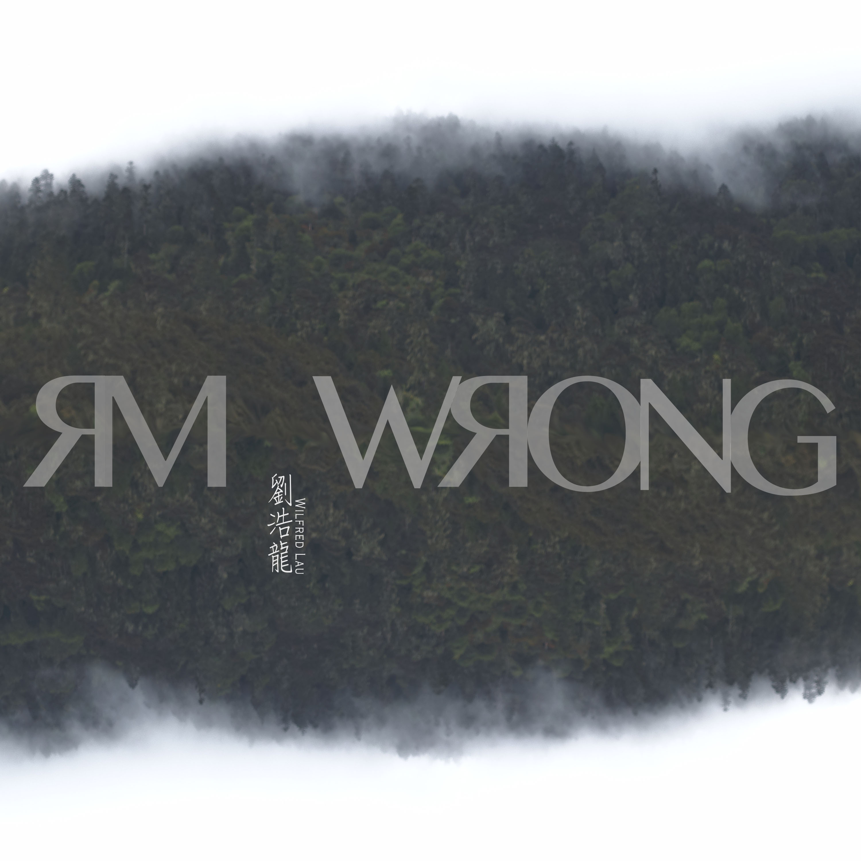 Mr Wrong(劉浩龍演唱歌曲)