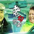 老媽學車 老媽學車