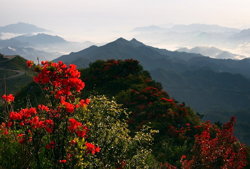 天台山國家森林公園