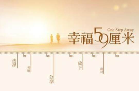 幸福59厘米(2011年導演影視作品)