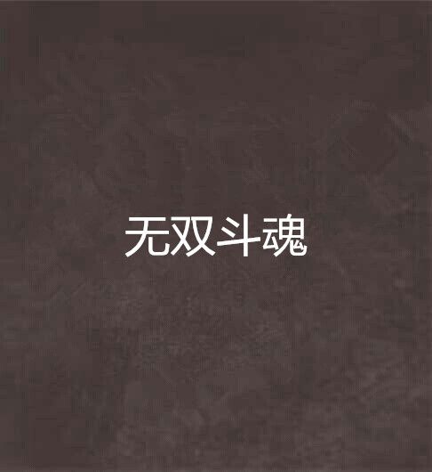 無雙斗魂 無雙斗魂