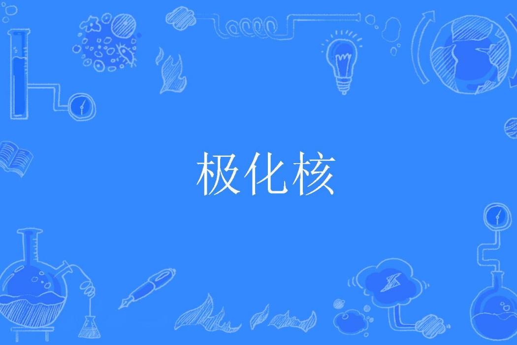 極化核 極化核