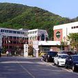 金浦大學 金浦大學