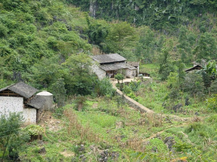 老高箐村(雲南馬關縣坡腳鎮下轄村) 老高箐村(雲南馬關縣坡腳鎮下轄村)