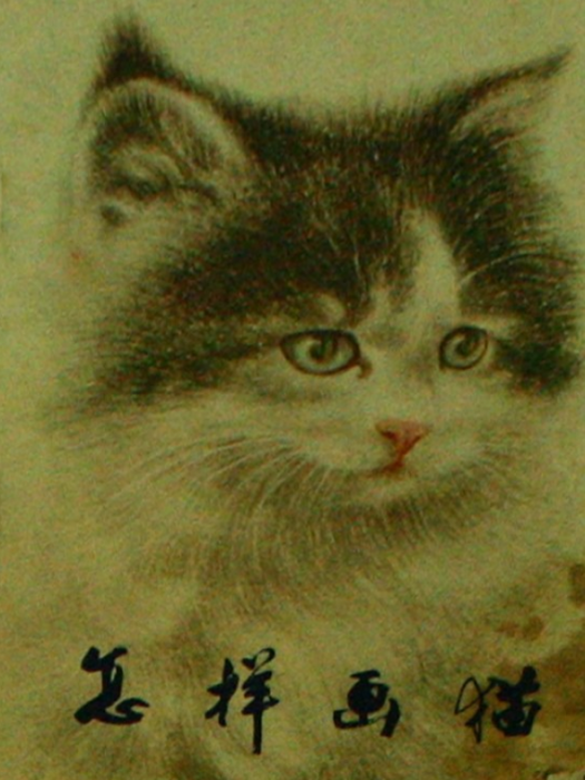 怎樣畫貓(曹克家編著的圖書) 怎樣畫貓(曹克家編著的圖書)