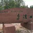 李渡口村 李渡口村