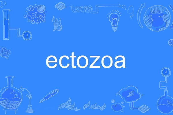 ectozoa ectozoa
